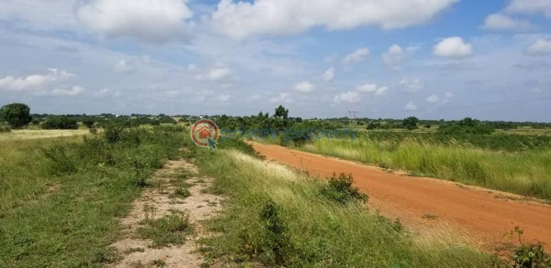 Land For Sale Gomoa Apam Gomoa West Central Region - 1