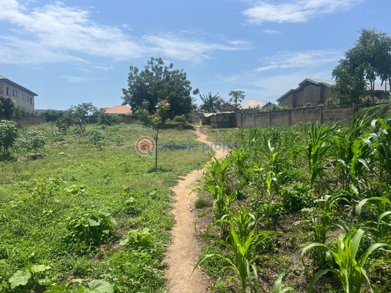 Land For Sale Accra Metropolitan  - 10