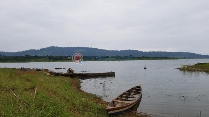 Land For Sale Akosombo Akuapim South Municipal Eastern Region - 2