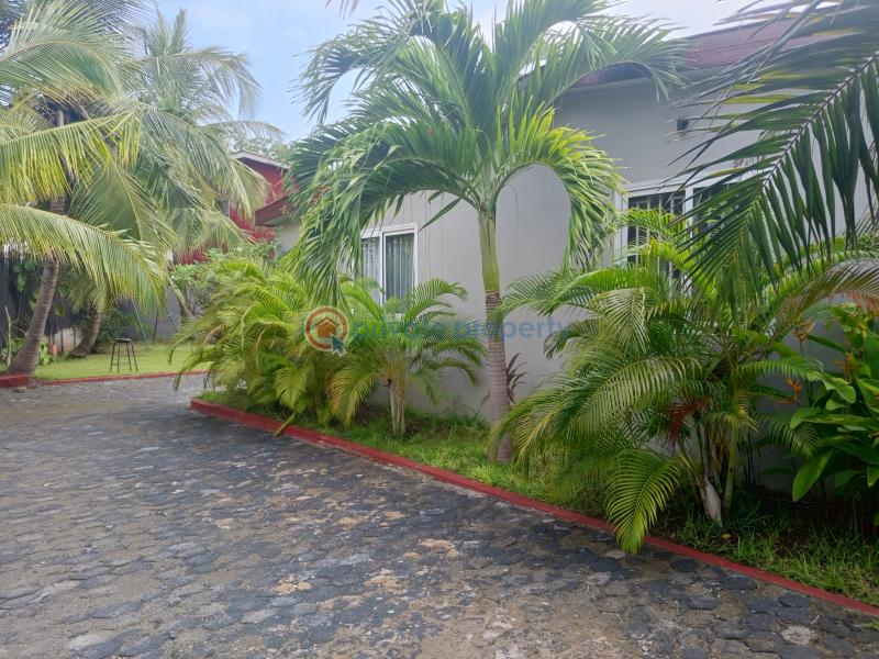 3 bedroom House For Rent Osu Nyaneba Osu Accra - 19