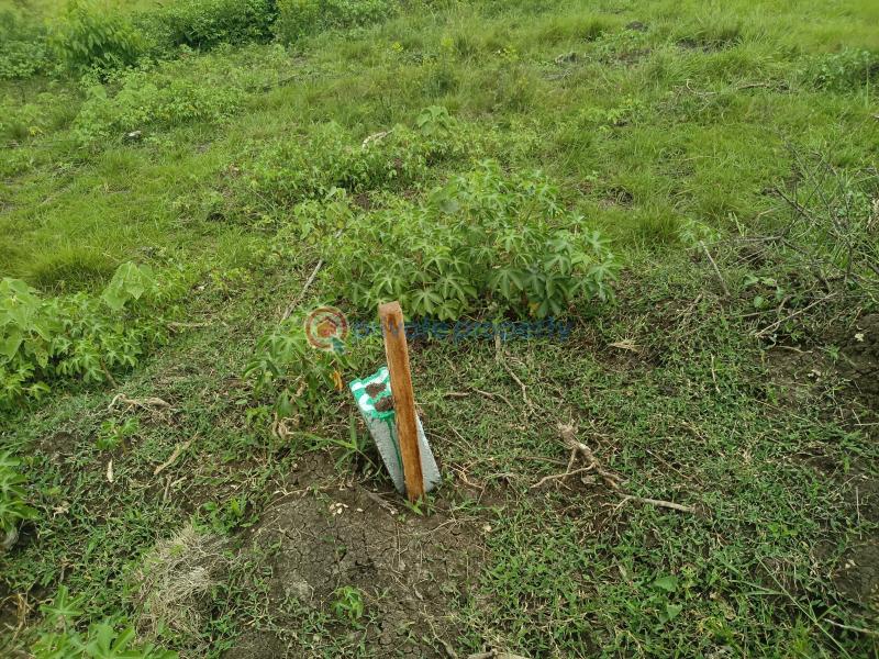 Land For Sale Shai Hills Dedenya Shai Hills Shai Osudoku Accra - 2