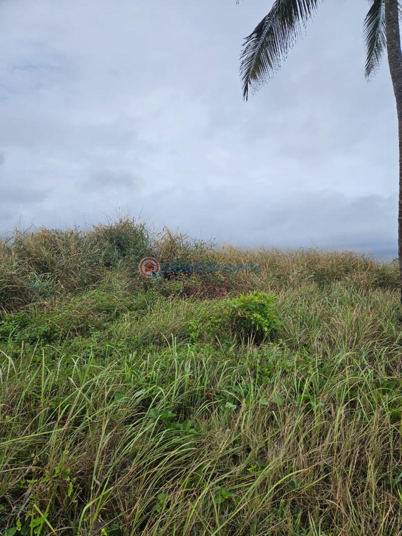 Land For Sale Gyangyandze Effutu Municipal Central Region - 2