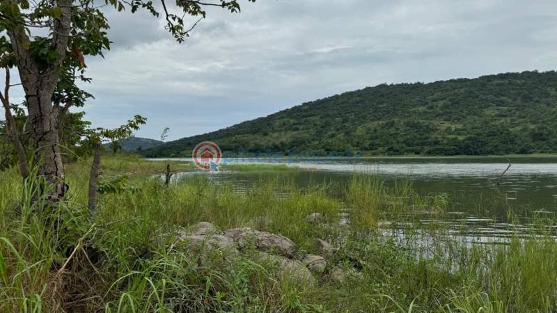 Land For Sale Woadze Afadzato South District Afadjato South Volta Region - 0