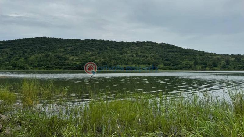 Land For Sale Woadze Afadzato South District Afadjato South Volta Region - 2