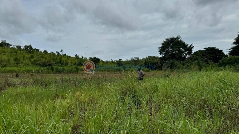 Land For Sale Woadze Afadzato South District Afadjato South Volta Region - 1
