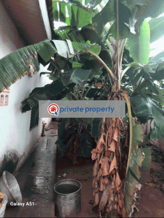 4 bedroom House For Sale &nbsp;mile 7 Achimota Accra - 11