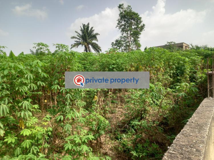 Residential Land For Sale &nbsp;asuofia Kokoben On Abrepo Road. Kumasi Metropolitan Ashanti - 7