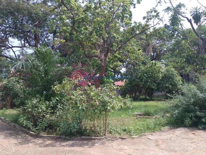 Land For Sale Dzorwulu Accra - 5