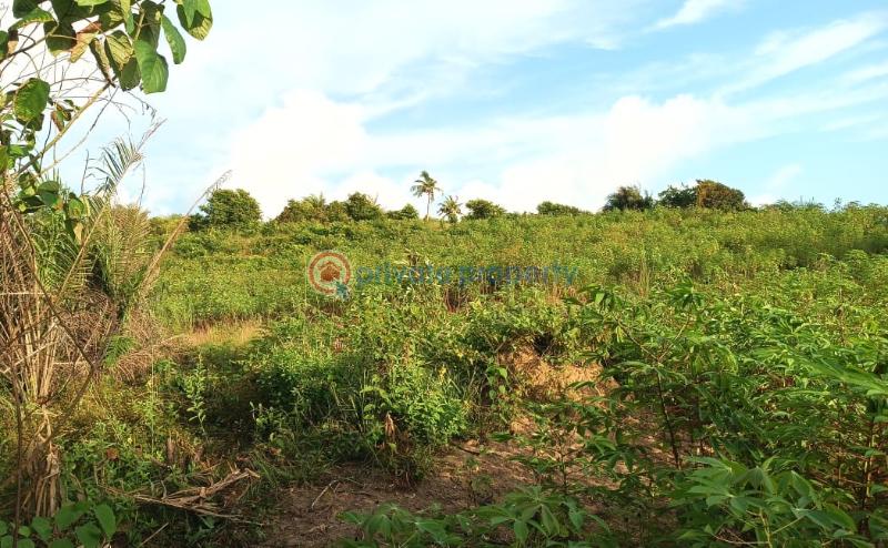 Land For Sale Gomoa Asempanyin Apam Gomoa West Central Region - 1