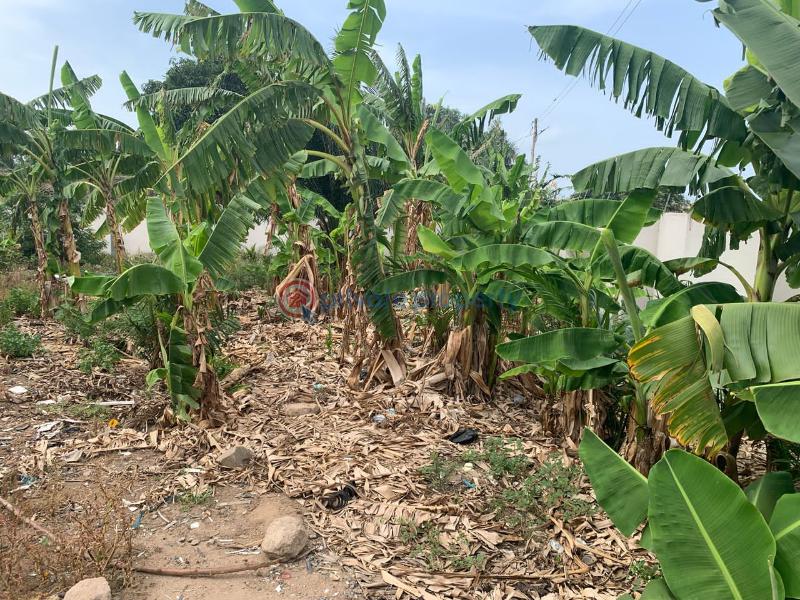 Commercial Land For Sale Lekma Road Teshie new Town Accra - 1