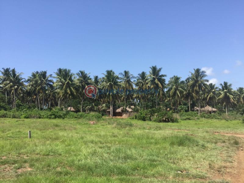 Land For Sale Apam Mumford Gomoa West Central Region - 1