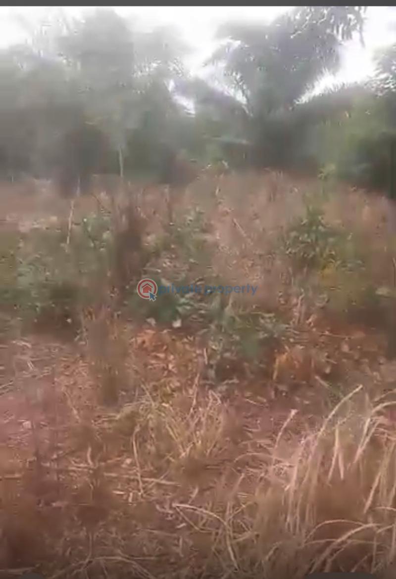 Land For Sale Bepoase Adukrom Akuapim North Eastern Region - 0