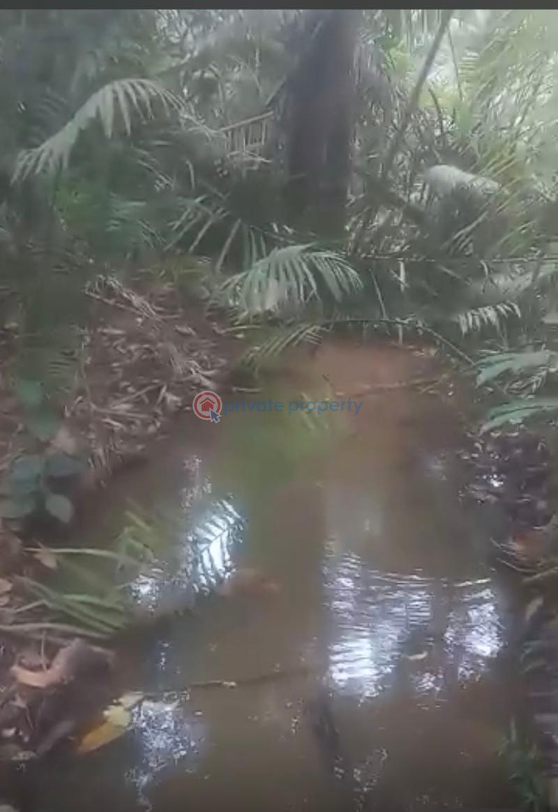 Land For Sale Bepoase Adukrom Akuapim North Eastern Region - 1