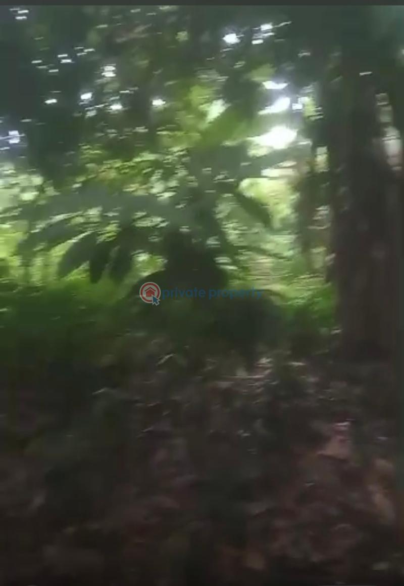 Land For Sale Bepoase Adukrom Akuapim North Eastern Region - 2