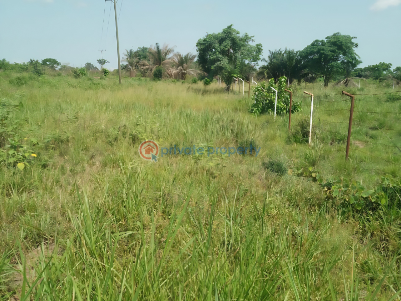 Land For Sale Kpando Municipal Volta Region - 1