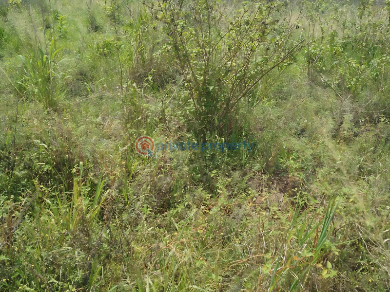 Land For Sale Kpando Municipal Volta Region - 2