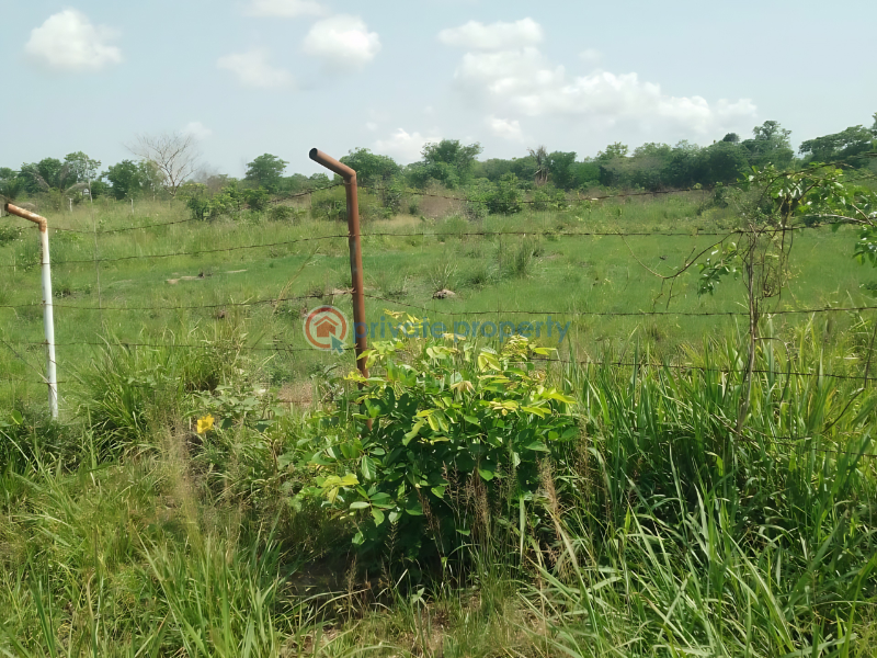 Land For Sale Kpando Municipal Volta Region - 0