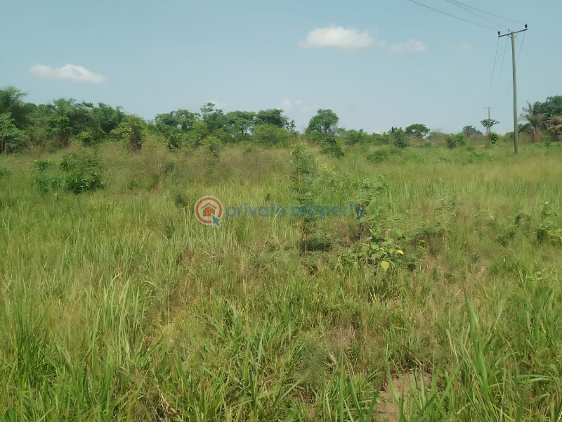 Land For Sale Kpando Municipal Volta Region - 3