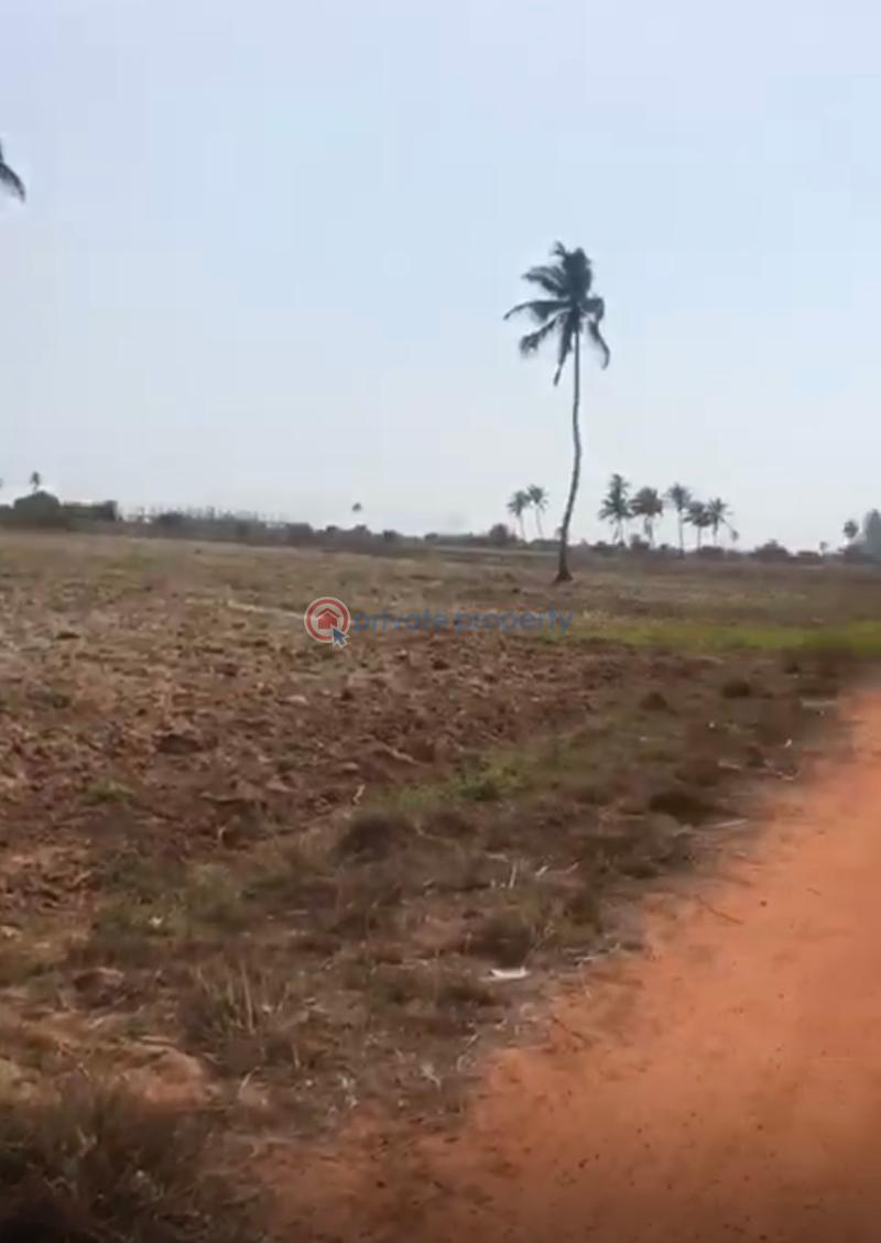 Land For Sale Ada West Accra - 3