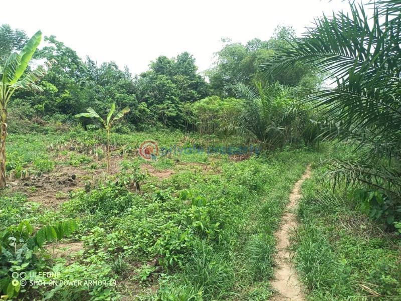 Land For Sale Kwashie Eastern Region Akuapim North Eastern Region - 2