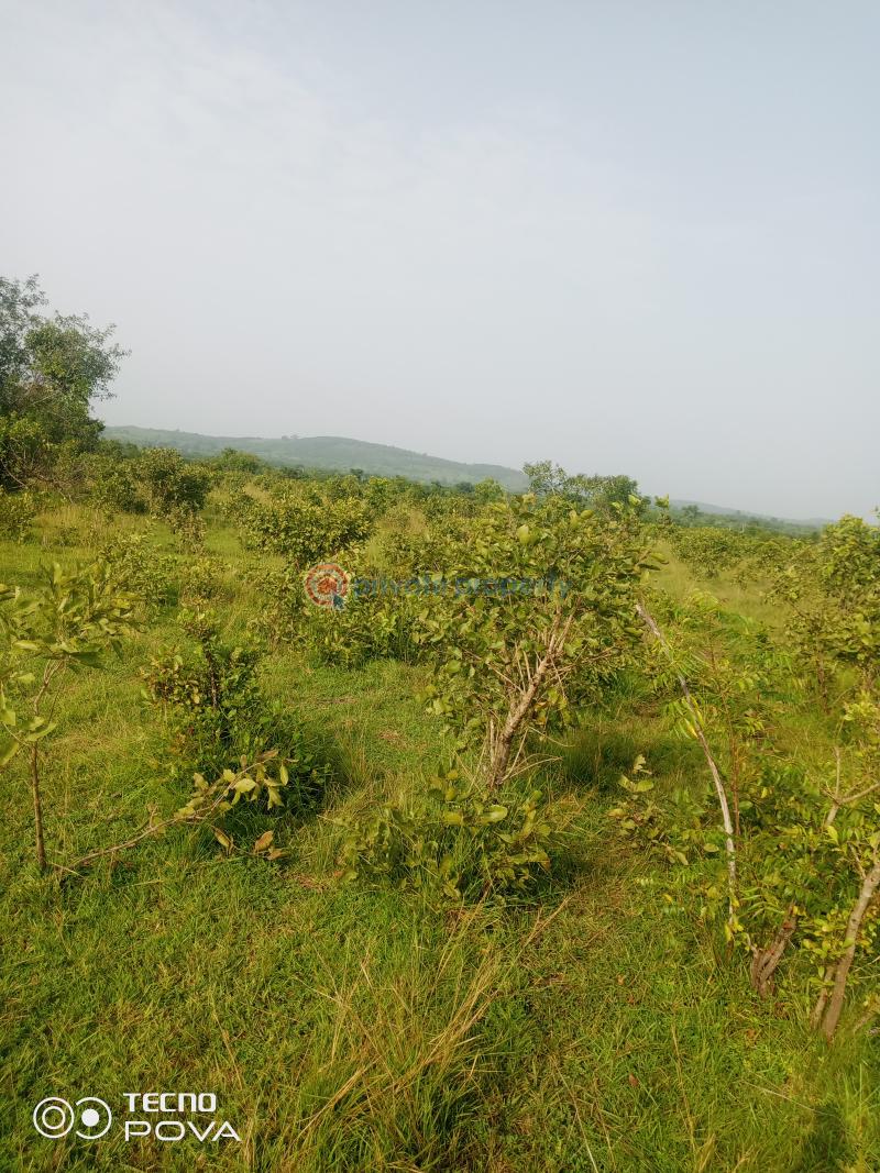 Land For Sale Estate Kintampo South Brong Ahafo - 3