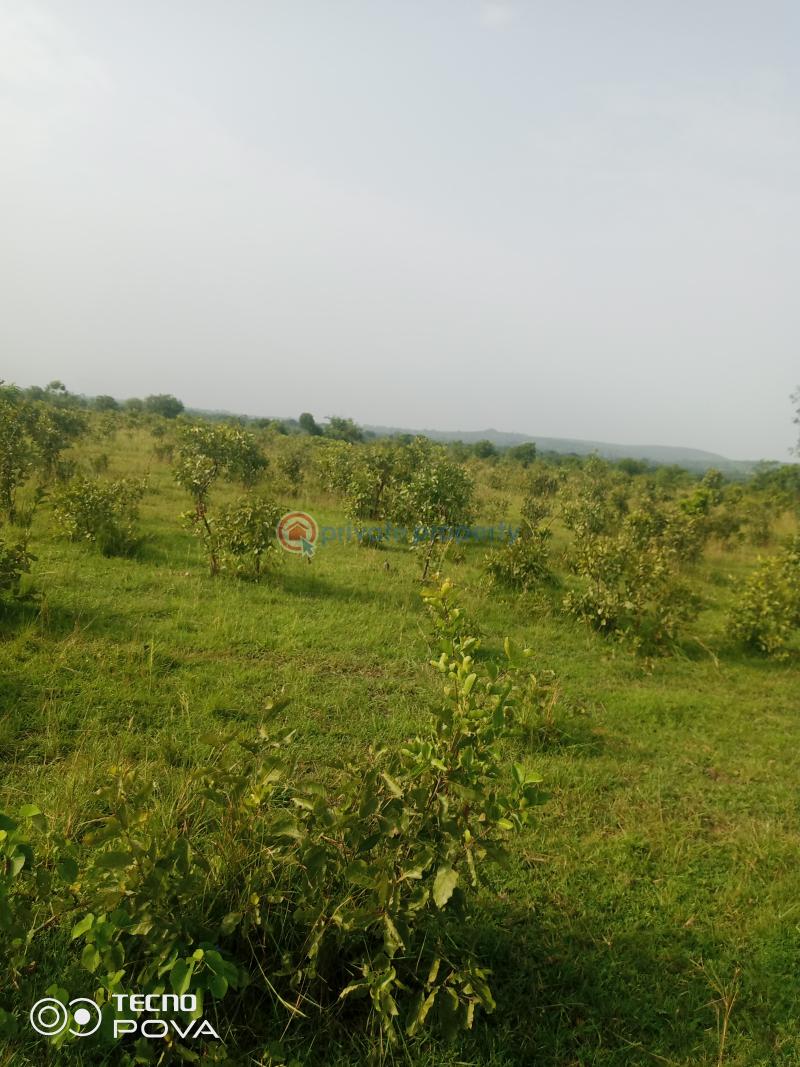 Land For Sale Estate Kintampo South Brong Ahafo - 0