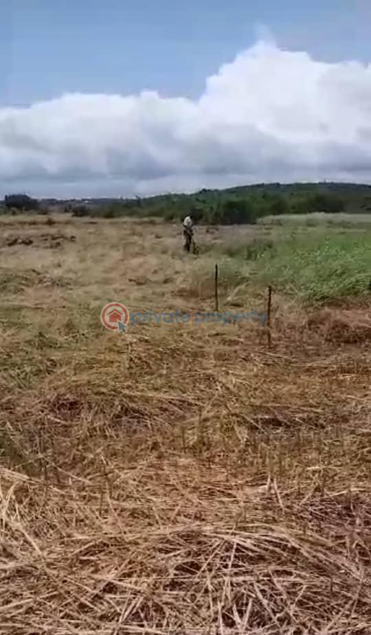 Land For Sale Mankessim Kuntu Mfantsiman Municipal Central Region - 1