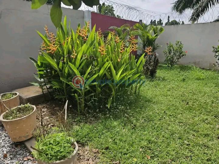 5 bedroom House For Sale Kanda Estate Accra - 4