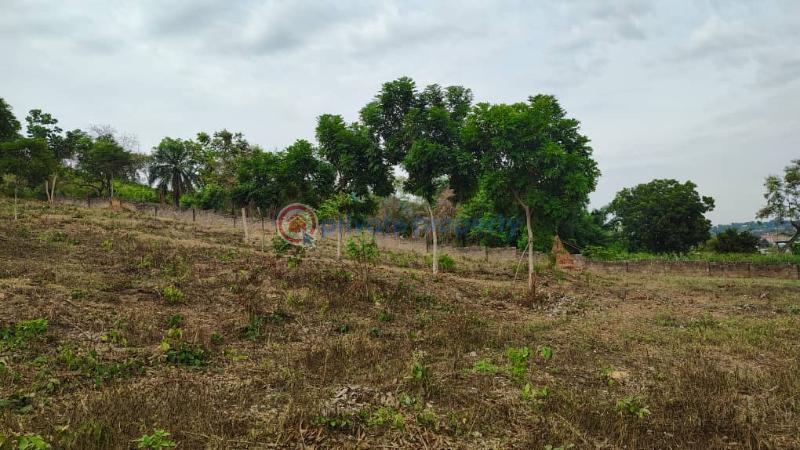 Land For Sale Ho Lokoe Ho Municipal Volta Region - 3