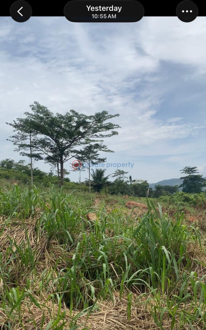 Land For Sale Bepoase Eastern Region Akuapim North Eastern Region - 0