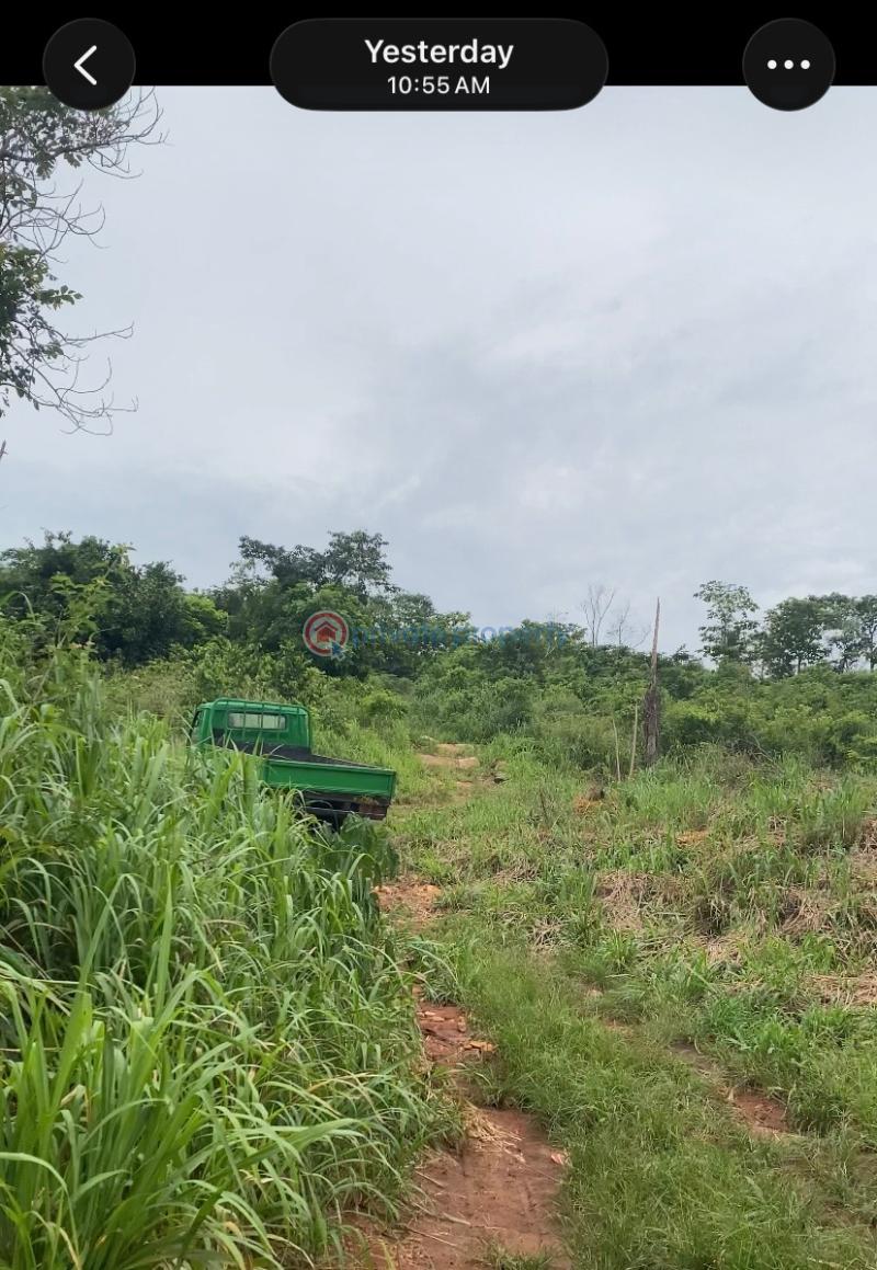 Land For Sale Bepoase Eastern Region Akuapim North Eastern Region - 4