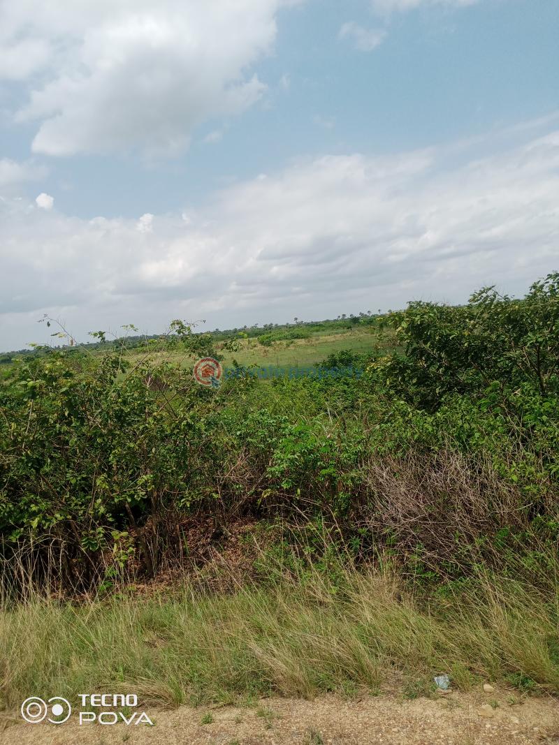 Land For Rent Estate Adaklu Volta Region - 5