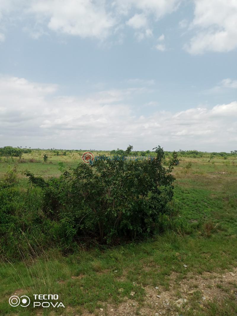 Land For Rent Estate Adaklu Volta Region - 6