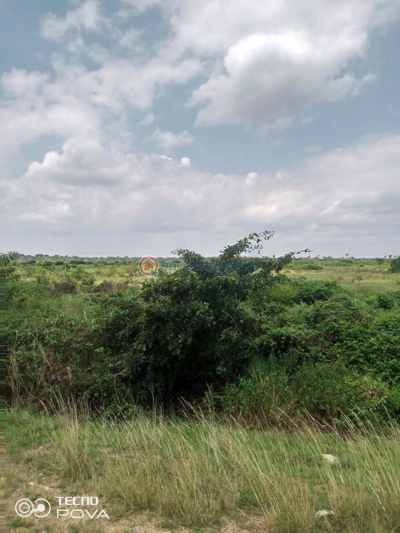 Land For Rent Estate Adaklu Volta Region - 4