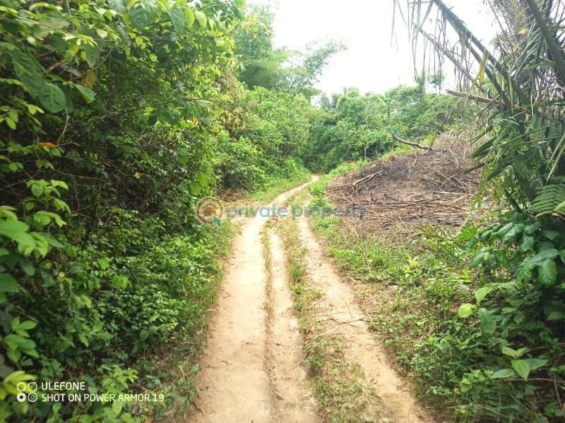 Land For Sale Dan Oti Region Ho Municipal Volta Region - 3