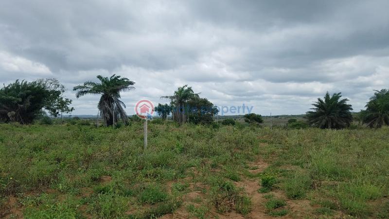 Land For Sale Agona Mampong Mpohor/Wassa East Western Region - 2