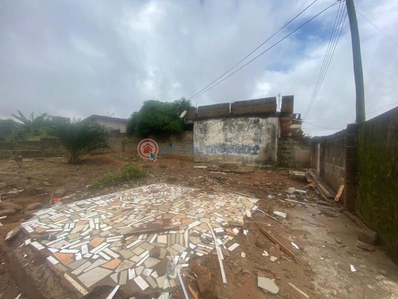 Land For Sale Tantra, Yellow House Tantra Hill Achimota Ga West Municipal Accra - 3