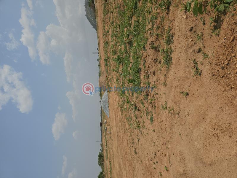 Land For Sale Tsopoli Police Barrier Tsopoli Ningo Prampram District Accra - 1