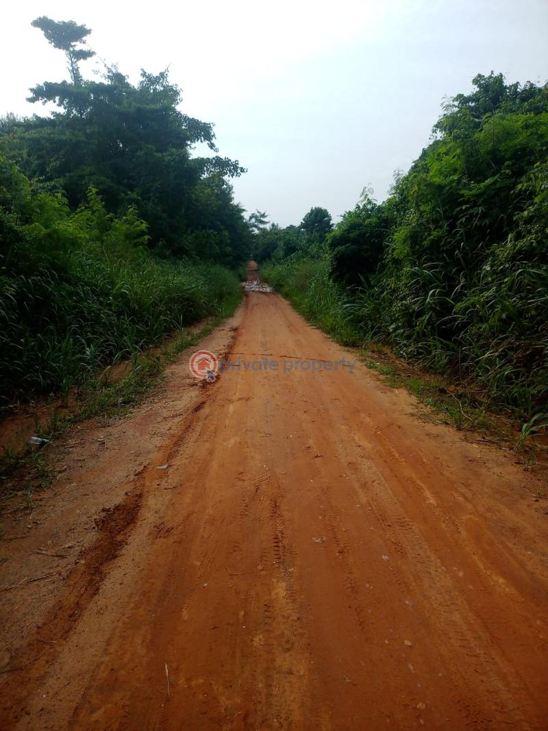 Land For Sale Twifo/Heman/Lower Denkyira Central Region - 3
