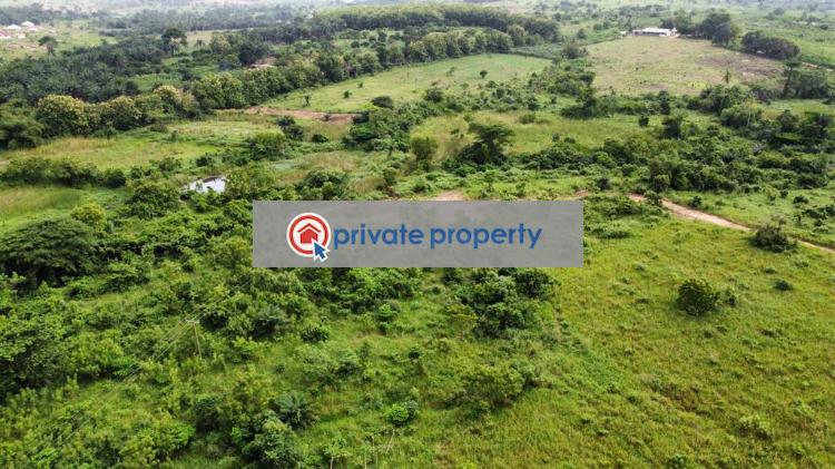 Mixed use Land For Sale &nbsp;nsawam Adoagyiri Nsawam Akuapim South Municipal Eastern Region - 9