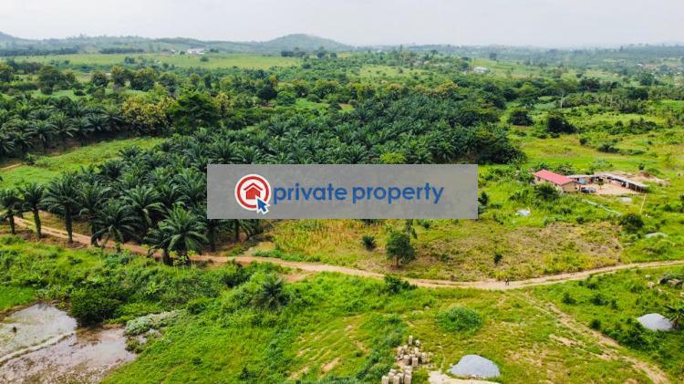Mixed use Land For Sale &nbsp;nsawam Adoagyiri Nsawam Akuapim South Municipal Eastern Region - 11