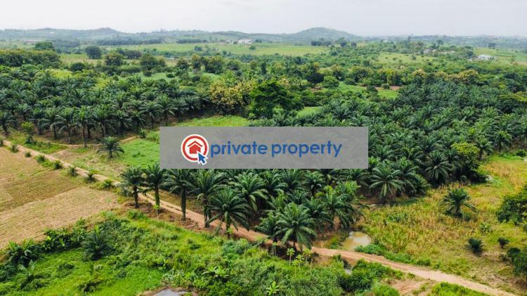 Mixed use Land For Sale &nbsp;nsawam Adoagyiri Nsawam Akuapim South Municipal Eastern Region - 1