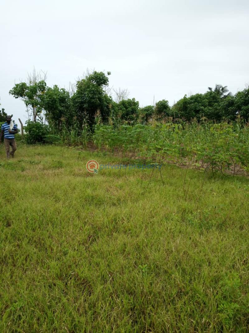Land For Sale Mpatano Ahanta West Western Region - 3