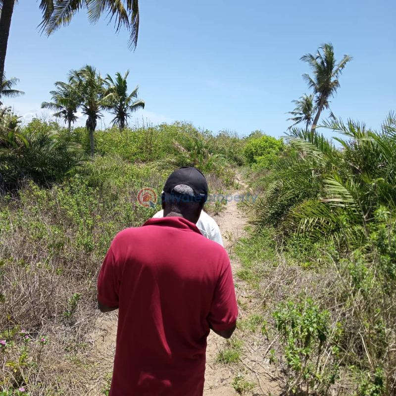 Land For Sale Mpatano Ahanta West Western Region - 2