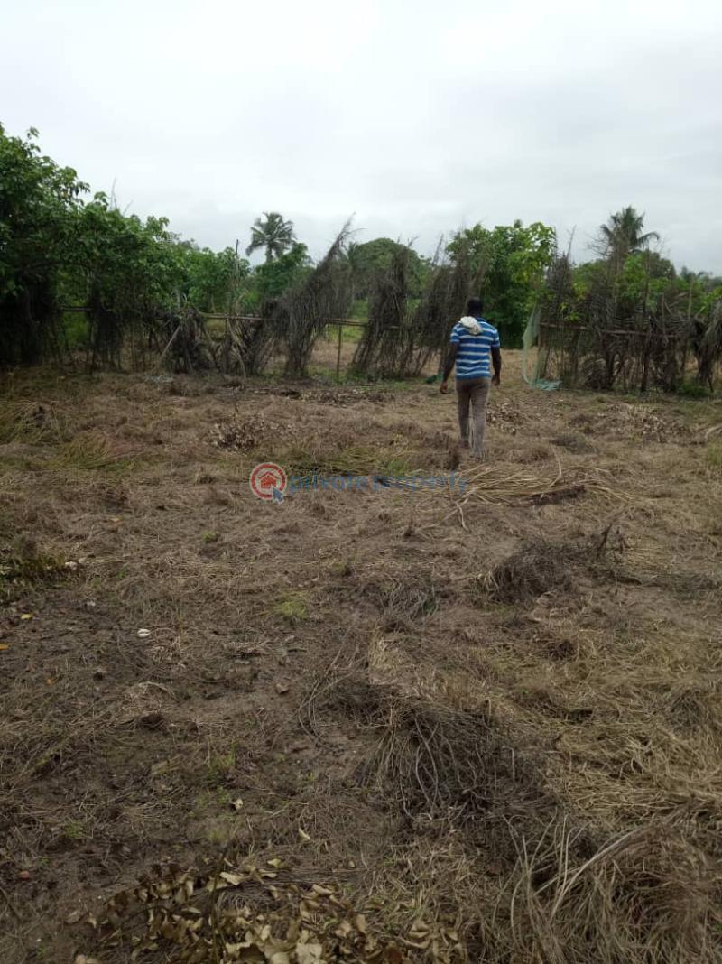 Land For Sale Mpatano Ahanta West Western Region - 4