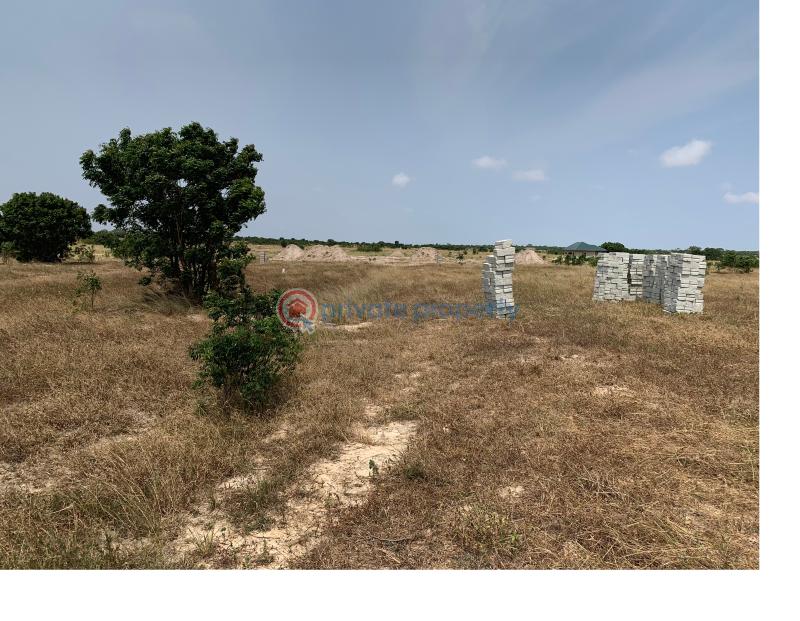 Land For Sale Tsopoli Ningo Prampram District Accra - 3