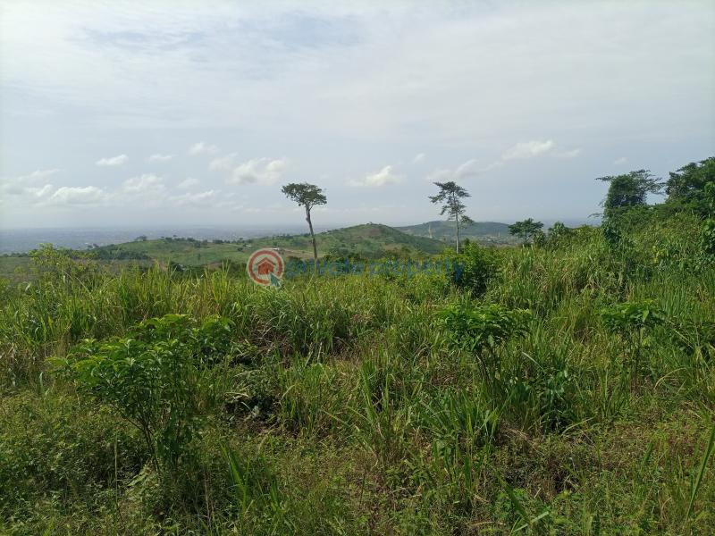 Residential Land For Sale Akropong Rd / Nsawam Rd Aburi Akuapim South Municipal Eastern Region - 3