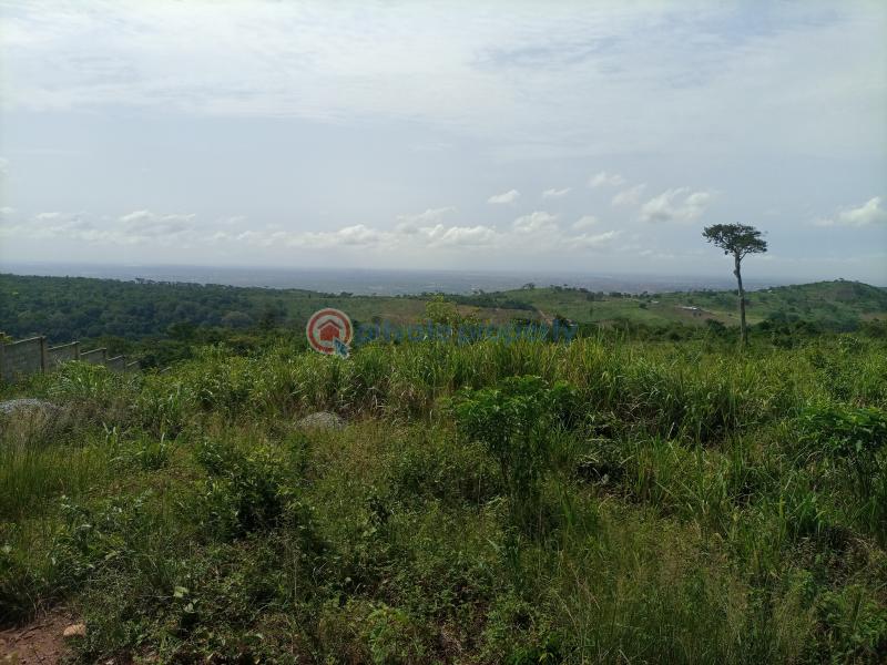 Residential Land For Sale Akropong Rd / Nsawam Rd Aburi Akuapim South Municipal Eastern Region - 0