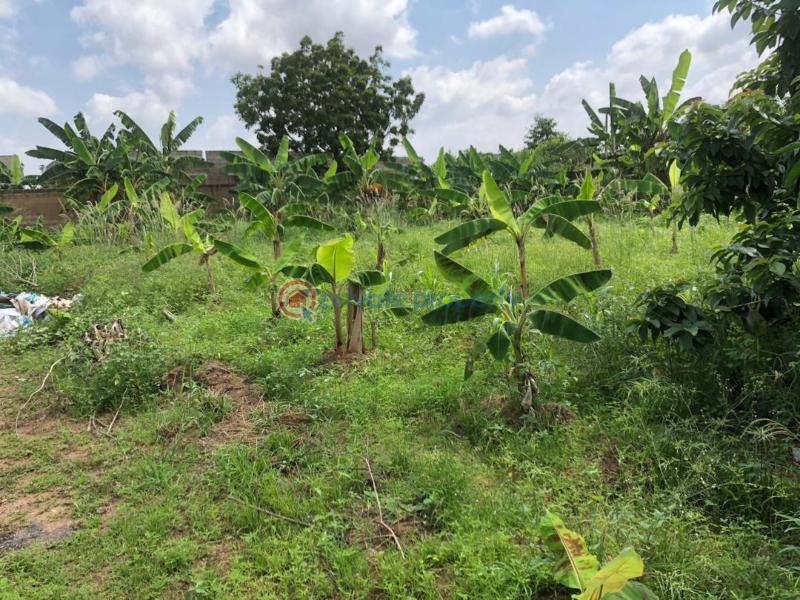 Commercial Land For Sale Medie Amasaman Ga West Municipal Accra - 3