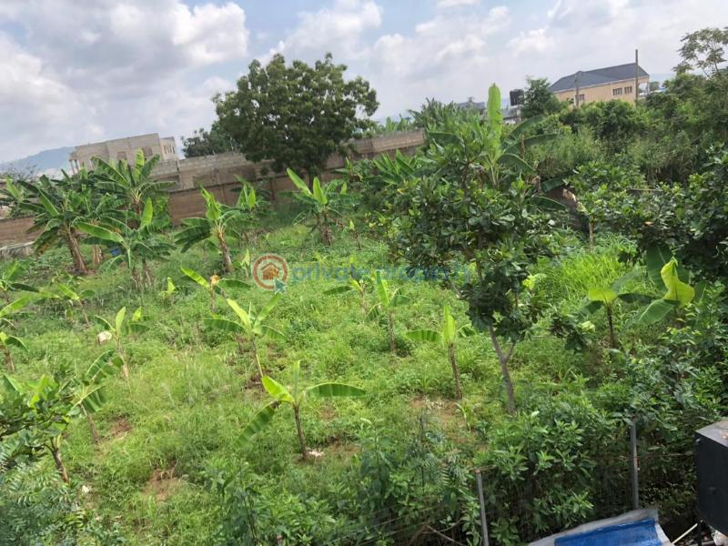 Commercial Land For Sale Medie Amasaman Ga West Municipal Accra - 2